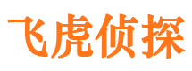 宿城市场调查